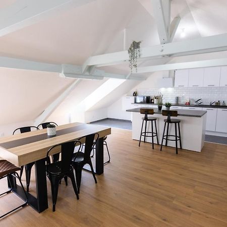 Appartement Atypique Proche Gare/ Dans L'Hyper-Centre Spacieux Pour 6P Au Coeur De Mulhouse Luaran gambar
