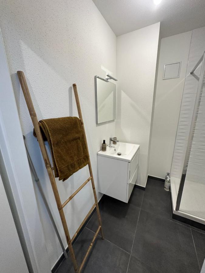 Appartement Atypique Proche Gare/ Dans L'Hyper-Centre Spacieux Pour 6P Au Coeur De Mulhouse Luaran gambar