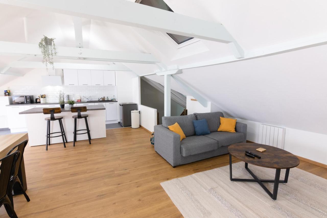 Appartement Atypique Proche Gare/ Dans L'Hyper-Centre Spacieux Pour 6P Au Coeur De Mulhouse Luaran gambar